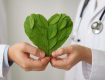 two hands holding a heart-shaped arrangement of green leaves